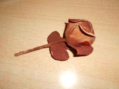 Karlovarská růže