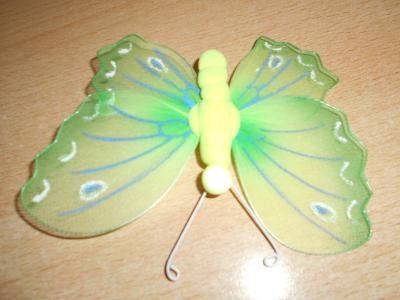 Motýl zelený