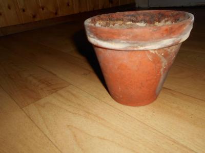 Květináč kamenina.