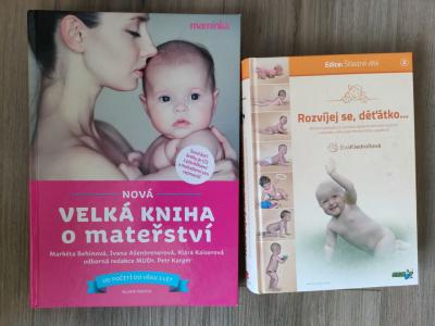 knihy pro nastavajici maminky
