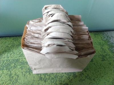 Papírové tašky (asi 30 kusů)