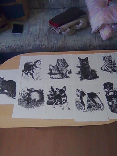 Obrázky zvířat na papíře
