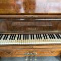 Piano Rous