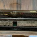 Piano Rous