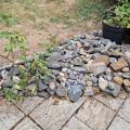 Kameny ze zahrady