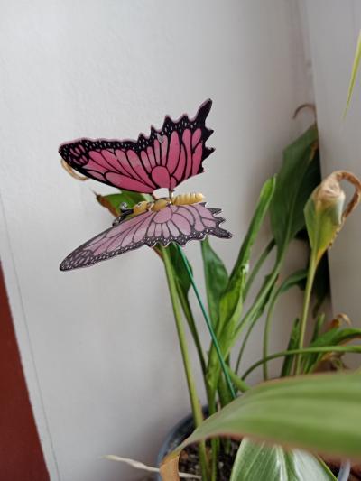 Kvítko k záchraně