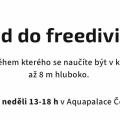 Voucher na kurz potápění Aquapark Cestlice