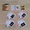 Pokerové karty Leonardo da Vinci