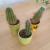 Tri male kaktusy