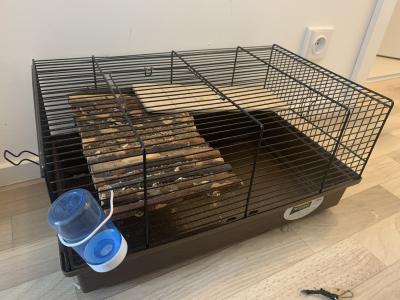 Klee Feeplast Cricetti