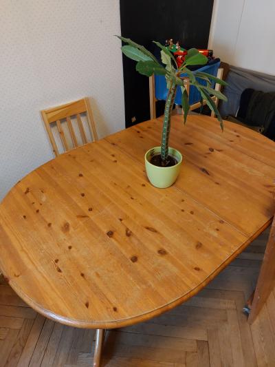 Jídelní stůl borovice rozkládací+konferenční stolek do sady