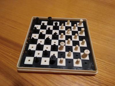 Cestovní šachy