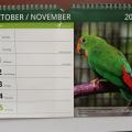 Daruji cizí kalendář 2023 - papoušci