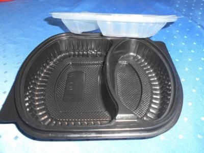 2x Plastová krabička s víčkem od jídla