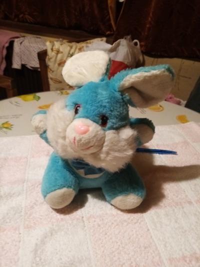 modrý králík
