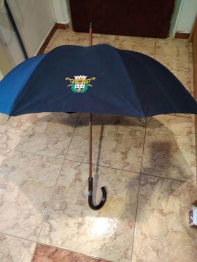 Modrý deštník