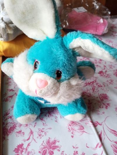 modrý králík, roztomilý