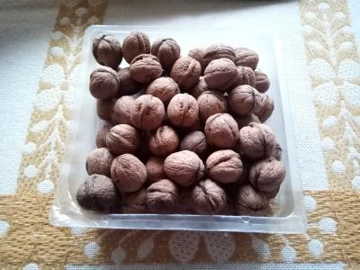 ořechy do mazanců