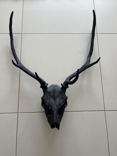 Lebka jelena, černá, originální