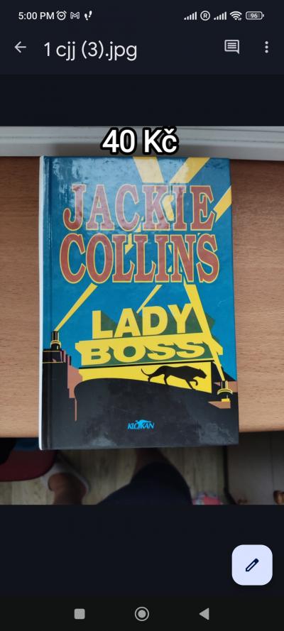 Kniha Lady Boss