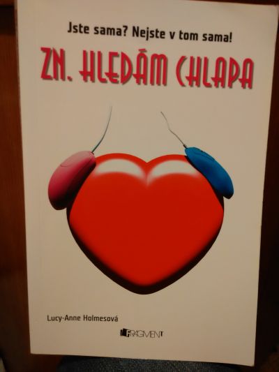 Kniha-zn. Hledám chlapa