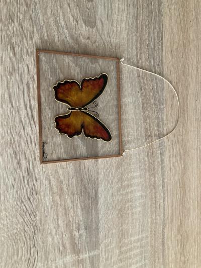 obrázek - motýl na skle