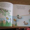 dětské knihy - dvě labutě na jezeře