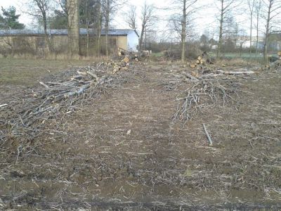 Daruji větve ke štěpkování