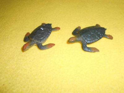 1x vodní želvička V