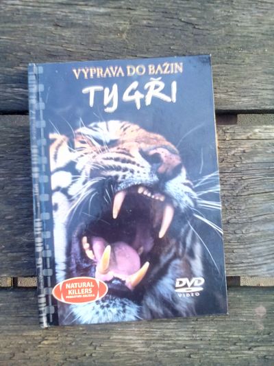 DVD o tygrech