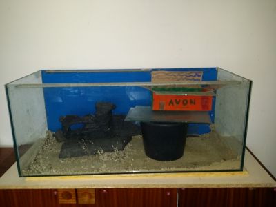 Terarium