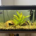 Akvarium se stolkem a s rybičkami
