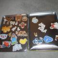 Farm magnets activity set