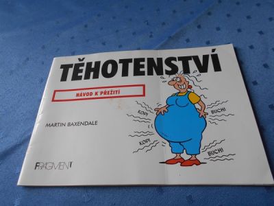 Těhotenství - návod k přežití