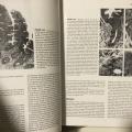 Tlusta bichle pro lekare v anglictine Gastroenterologie