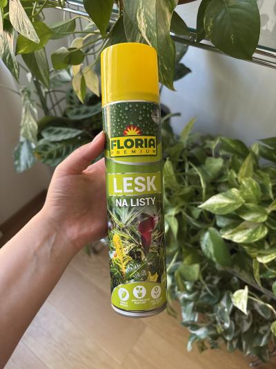 Lesk na listy