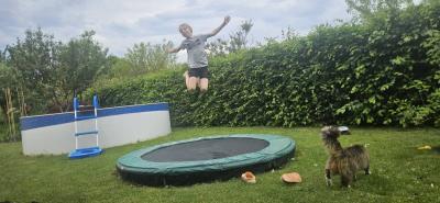 Trampolína do země Berg Talent