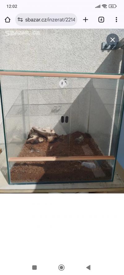 Terarium