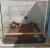 Terarium
