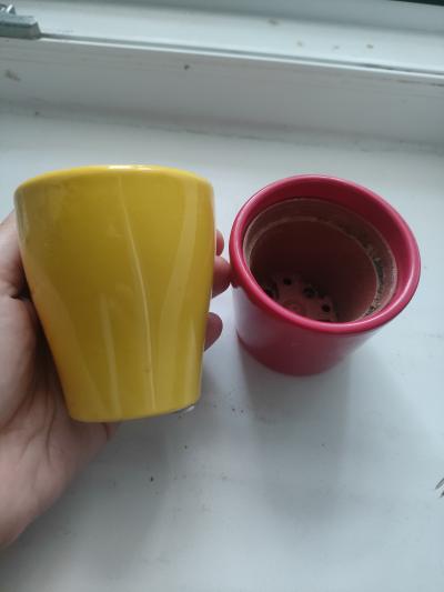 Květináče malé 2x Ø 5 cm