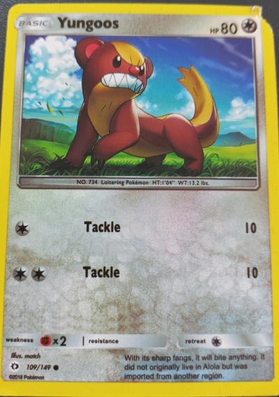 Pokemon Yungoos