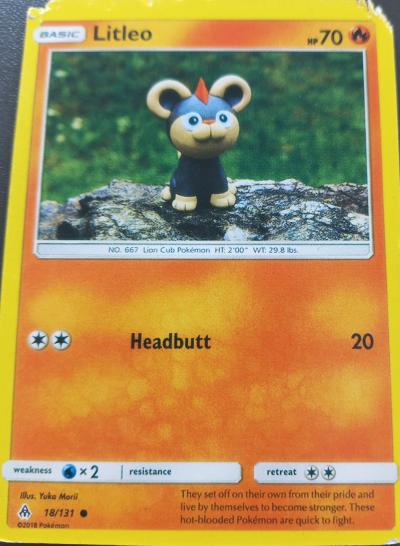 Pokemon Litleo