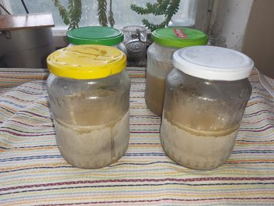 4 porce španělských ptáčků