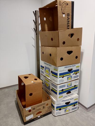 Banánovky ke stěhování