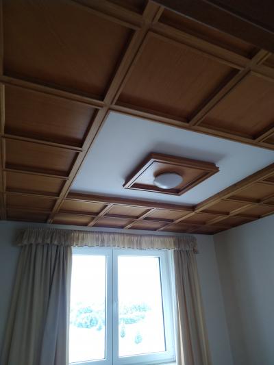 Stropní podhled 1