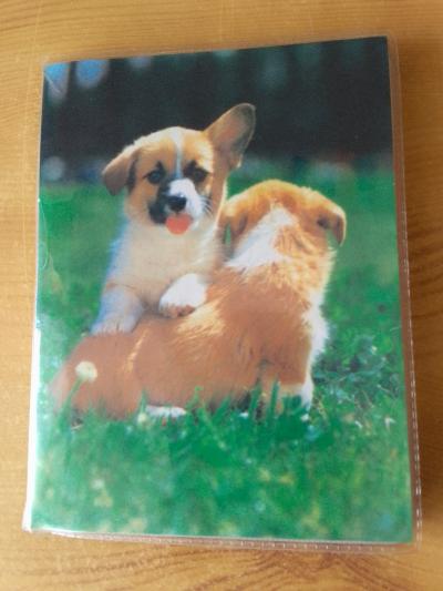 MALÉ ALBUM NA FOTKY II.