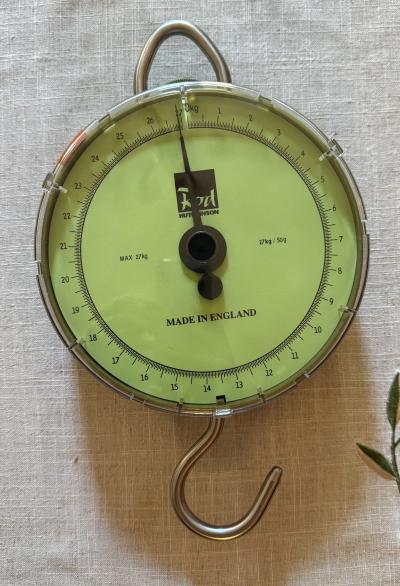 Závěsná váha Rod Hutchinson