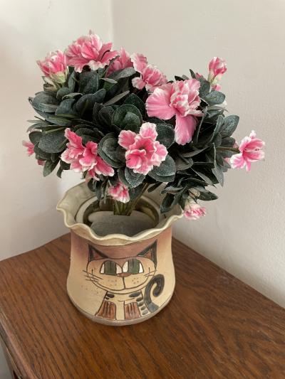 Kočičí květináč