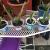 aloe 1