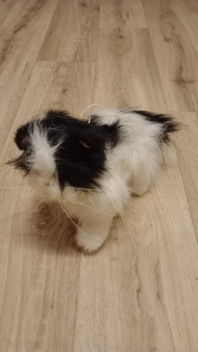 Interaktivní kočka - funkce nezkoušeny